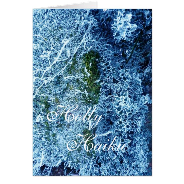 Holly Haiku (Vorne)