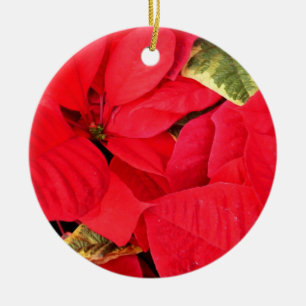 Holly Point Weihnachtssterne Holiday Floral Keramikornament