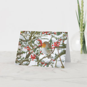 Holly & Robin Weihnachtskarte Feiertagskarte