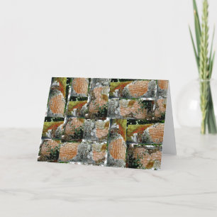 Holly Tree Bark Note Card OBX Feiertagskarte