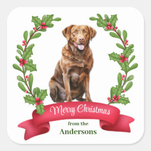 Holly Wreath Chesapeake Bay Retriever Dog Quadratischer Aufkleber