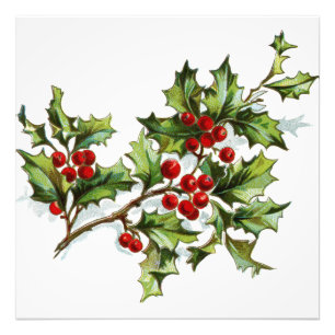 HollyBerries20150801 Fotodruck