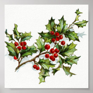 HollyBerries20150801 Poster