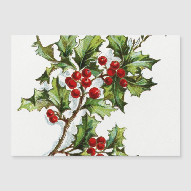 HollyBerries20150802 Magnetkarte (Vorderseite)