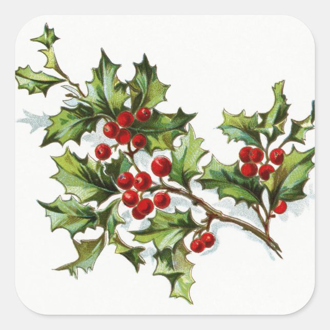 HollyBerries20150802 Quadratischer Aufkleber (Vorderseite)