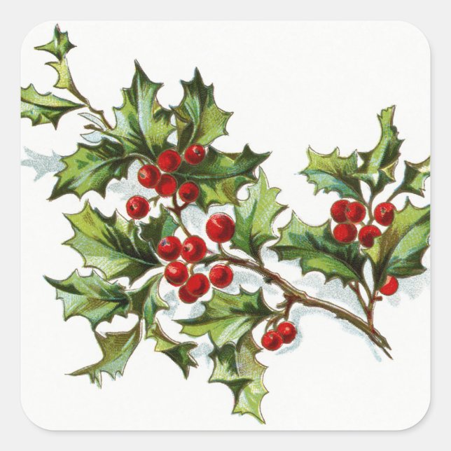 HollyBerries20150802 Quadratischer Aufkleber (Vorderseite)