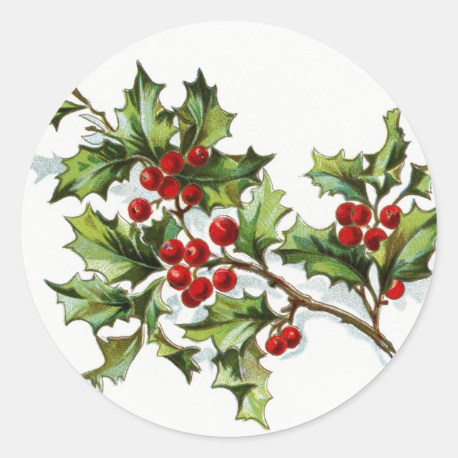 HollyBerries20150802 Runder Aufkleber (Vorderseite)