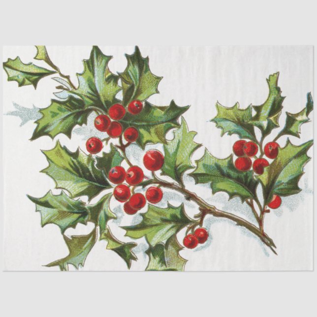 HollyBerries20150802 Seidenpapier (Vorderseite)