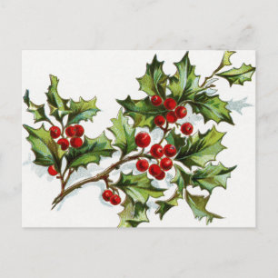 HollyBerries 001 Postkarte