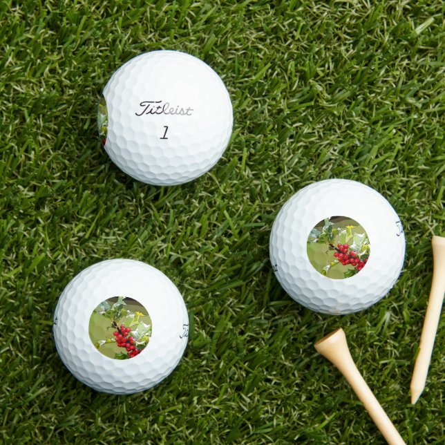 HollyBerries 005 Golfball (Insitu Gras)