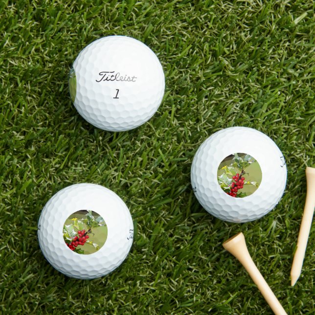 HollyBerries 006 Golfball (Insitu Gras)