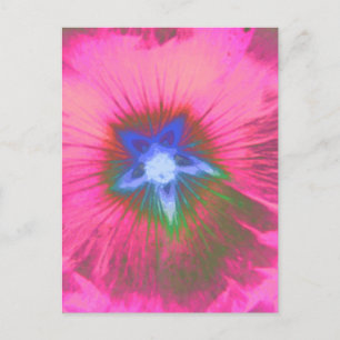 Hollyhock Blume Pink Velvet Postcard Postkarte