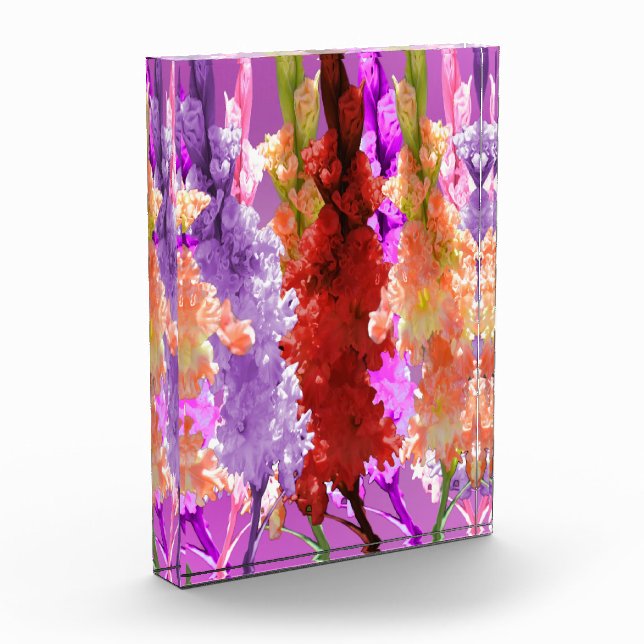 Hollyhock Elegance Fotoblock (Links)