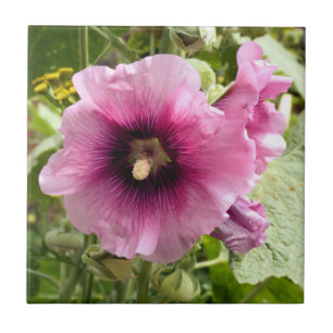 HOLLYHOCK FLIESE