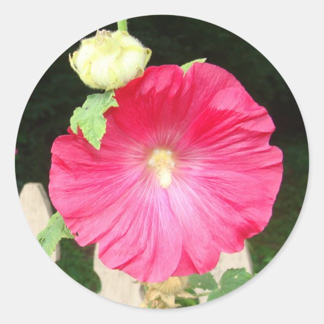 Hollyhock-Siegel Runder Aufkleber (Vorderseite)