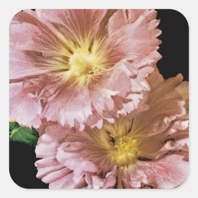 Hollyhock Vintag Seed Packet Quadratischer Aufkleber (Vorderseite)