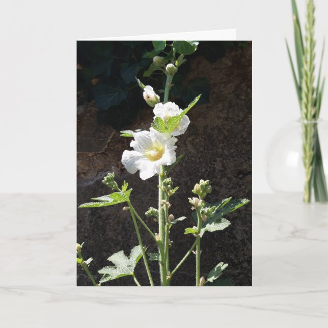 Hollyhocks-Blume Karte (Vorderseite)