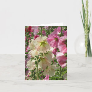 Hollyhocks: Japan Karte