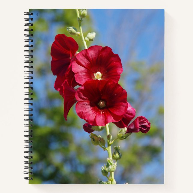 Hollyhocks-Notebook Notizbuch (Vorderseite)