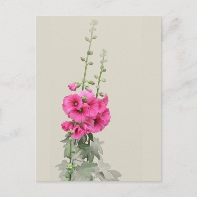 Hollyhocks Postkarte (Vorderseite)