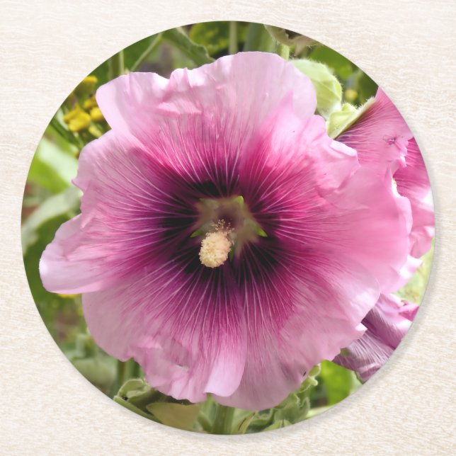 HOLLYHOCKS RUNDER PAPPUNTERSETZER (Vorderseite)