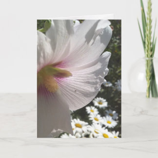 Hollyhocks und Daisies Grußkarte Karte