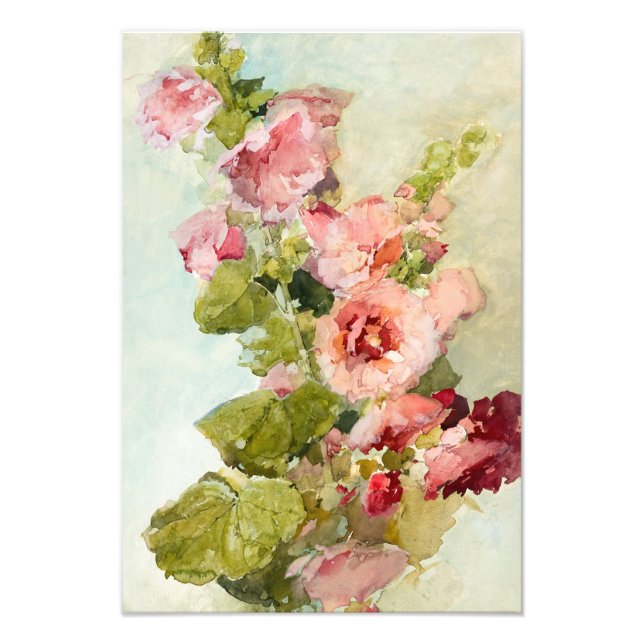Hollyhocks von Franz Bischoff Fotodruck (Vorne)