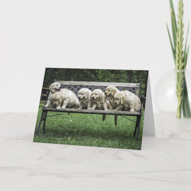 Holly's Half Dozen Bank Fotokarte Karte (Vorderseite)