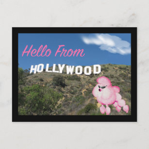Hollywood California Retro Pink Poodle Postcard Postkarte