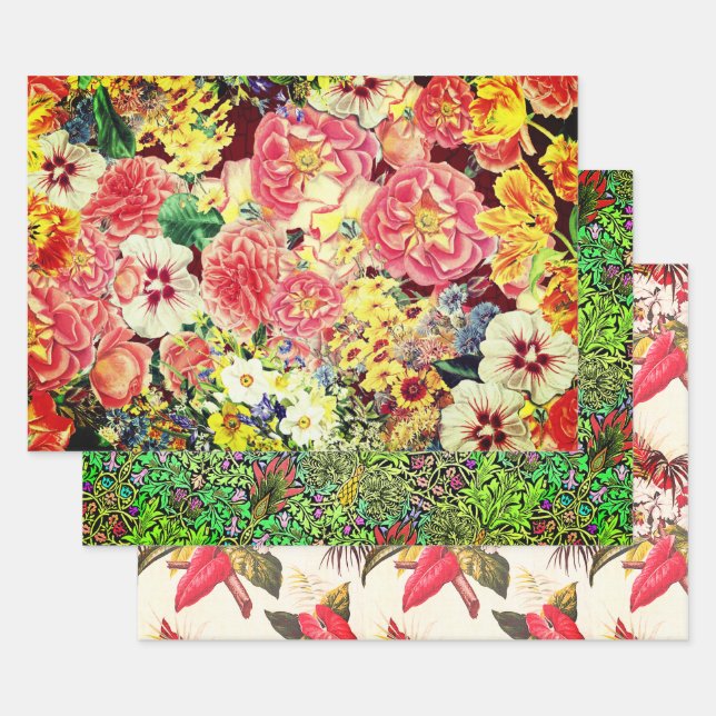 Hollywood Floral Botanischer Sampler Geschenkpapier Set (Set)