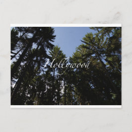 Hollywood - Grußkarte Postkarte