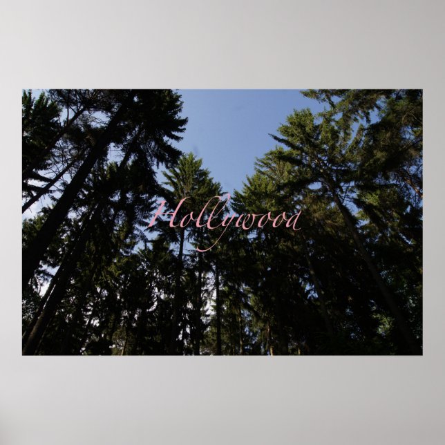 Hollywood Poster (Vorne)