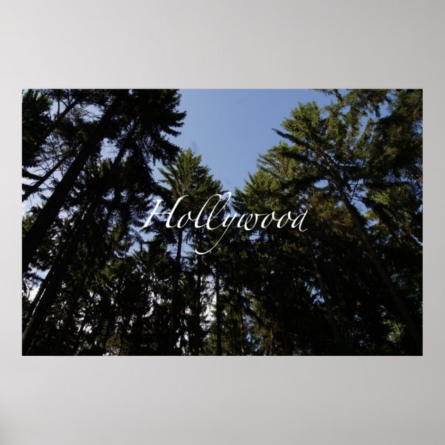 Hollywood Poster (Vorne)