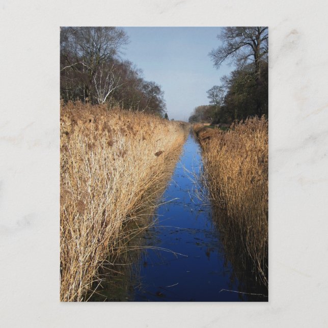 Holme Fen Dyke Postkarte (Vorderseite)