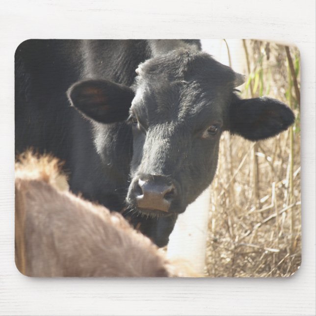 Holstein Bull Mousepad (Vorne)