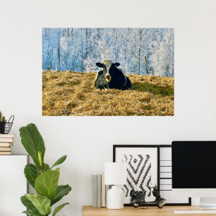 Holstein Calf bei Frosty Alberta Morning Poster