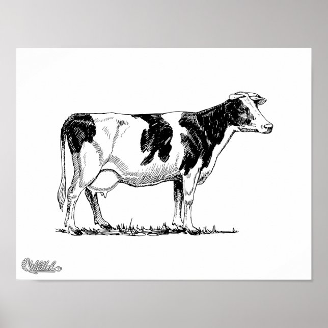 Holstein Cow Poster (Vorne)