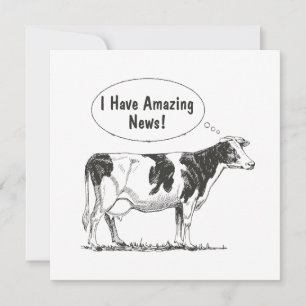 Holstein Kuh anpassen Ankündigung