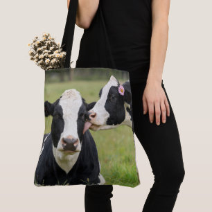 Holstein-Kuh küsst auf Weide auf dem Bauernhof