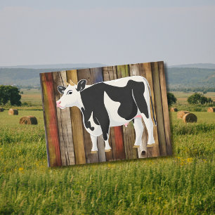Holstein Kuh mit Altpappe Postkarte