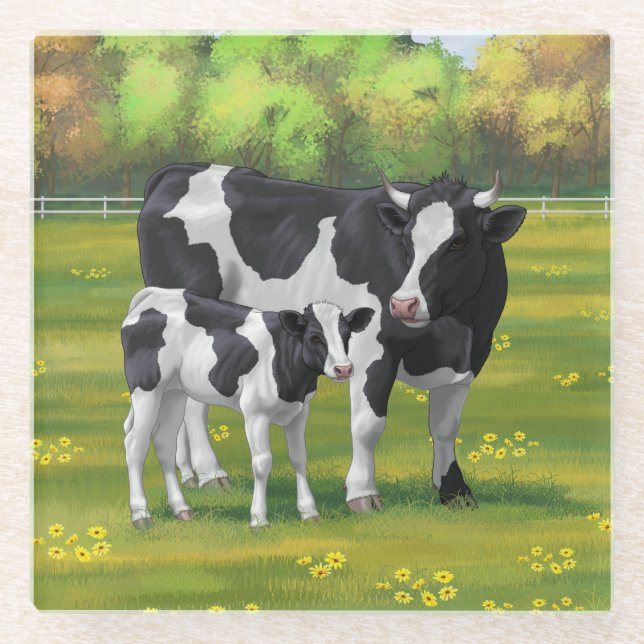 Holstein Kuh & Niedliches Kalb im Sommer Weide Glasuntersetzer (Vorderseite)