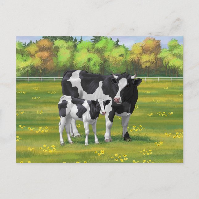 Holstein Kuh & Niedliches Kalb im Sommer Weide Postkarte (Vorderseite)