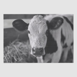 Holstein-Kuh Schwarz-Weiß-Dekoupage Seidenpapier