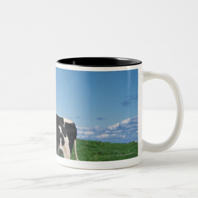 Holstein-Kuh stehend auf dem Gebiet, Bekkai-Machi, Zweifarbige Tasse (Rechts)