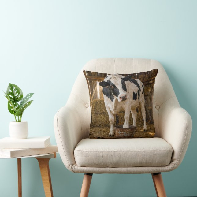 Holstein-Kuh steht in einem rostigen Eimer Kissen (Stuhl )
