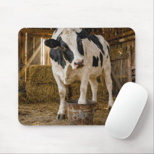 Holstein-Kuh steht in einem rostigen Eimer Mousepad