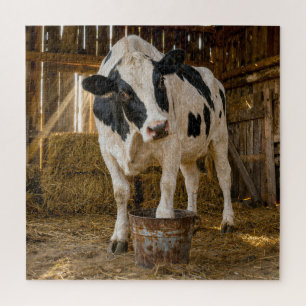 Holstein-Kuh steht in einem rostigen Eimer Puzzle