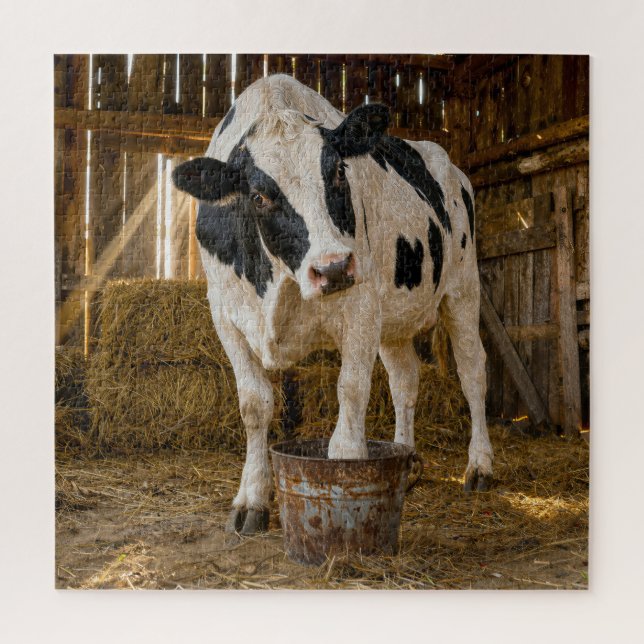 Holstein-Kuh steht in einem rostigen Eimer Puzzle (Vertikal)