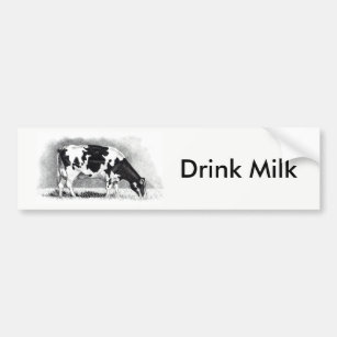 Holstein-Milchkuh: Bleistift-Zeichnen: Autoaufkleber