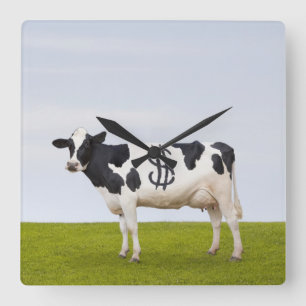 Holstein Milchkuh mit Flecken in Form Quadratische Wanduhr